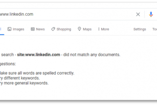 The Day LinkedIn Disappeared from Google